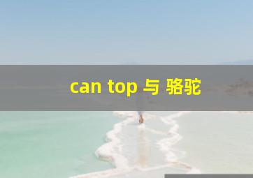 can top 与 骆驼